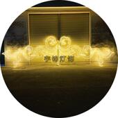 新款 过街灯具 LED路灯杆造型灯商业街雪花图案造型灯工程简约款