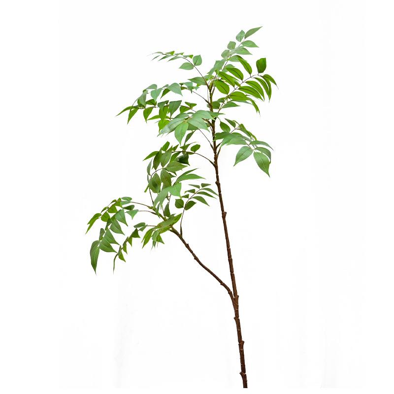 仿真紫藤叶木椿叶做zj13346树叶单材支南天树竹中式插花叶材造漆