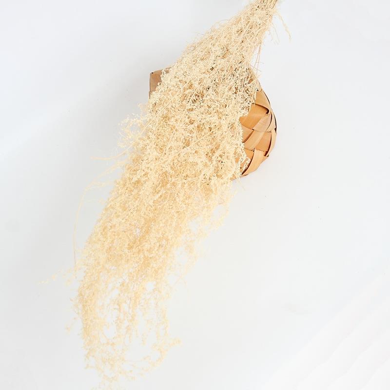 干花米蒿永生花礼盒浮游花配花花材香熏材料家居插花拍照道具