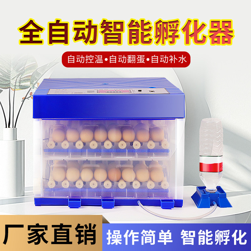 孵化器孵蛋器孵化机小型家用全自动智能鸡鸭鹅鹌鹑芦丁鸡禽鸟类,五金/工具,电热工具,淘宝优惠券,粉丝福利购,淘宝优惠卷