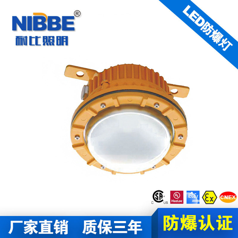 户外防水LED防爆吸顶灯IP66