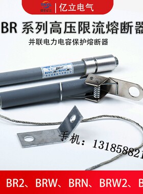 BR1 BR2-10-12KV/99A100A105A110A120A125A并联电容高压熔断器