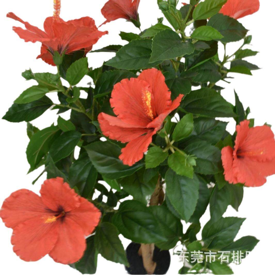 仿真蓉花00821马来西放亚国花内室客厅落地摆芙蓉花芙树