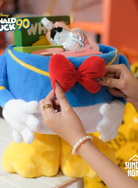 SUNDAY HOME 迪士尼唐老鸭抱抱筒客厅卧室家居桌面电视柜收纳摆件