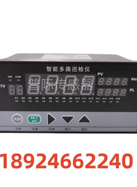 WP-D807-72-23-HL-T/带KS-485通讯 多路高选单输出