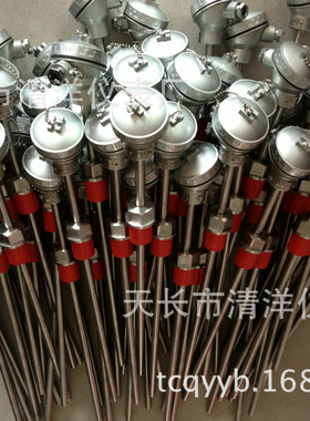 电厂化工厂水泥厂配套设备耐磨铠装热电阻 WZPM2-230 WZPK-230