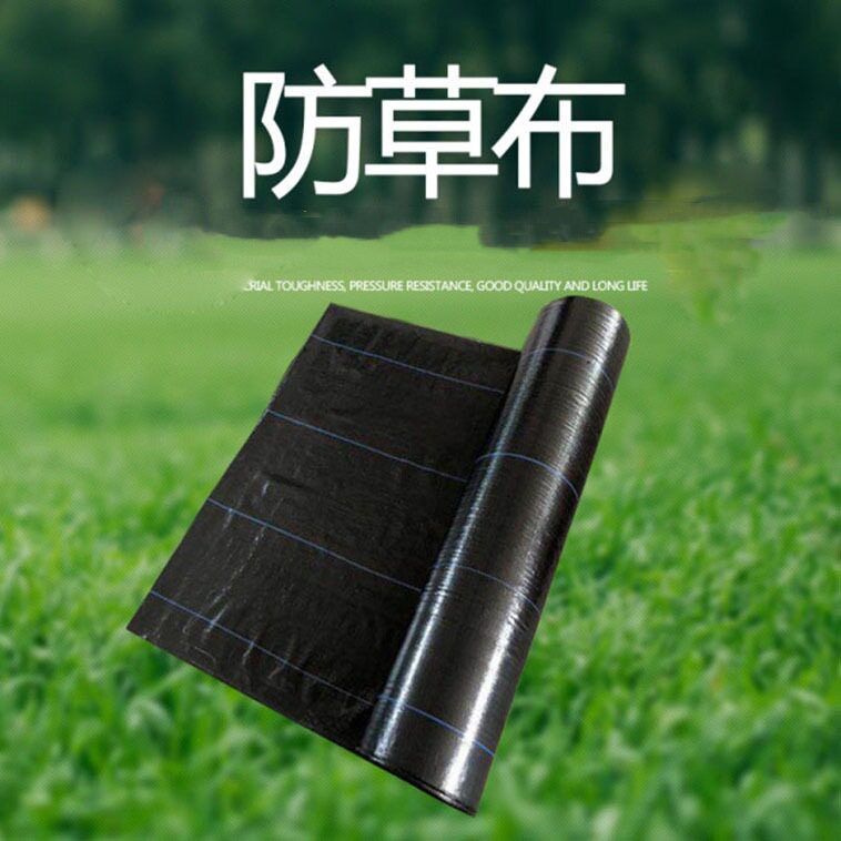 园艺地布 黑色防草园艺地布 果园大棚用pe抑草布 厂家直供