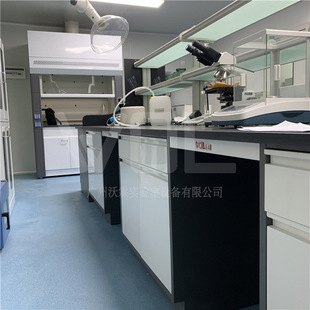WOL 厂家直销 实验室家具设备 全钢 钢木 中央台 通风柜
