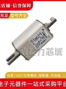 170M3058/3059/3060/3061/3062/3063/3064全新熔断器现货