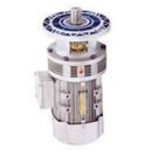 550W 立式 减速比i 卧式 WB120微型摆线针轮减速机