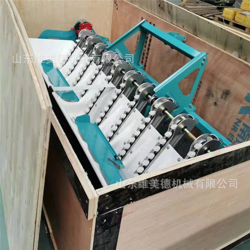 家用手推式汽油五行大蒜播种机 拖拉机牵引大蒜种植机耐用