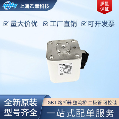 巴斯曼熔断器  170M5887 170M5888 170M5889 170M5922 170M5923