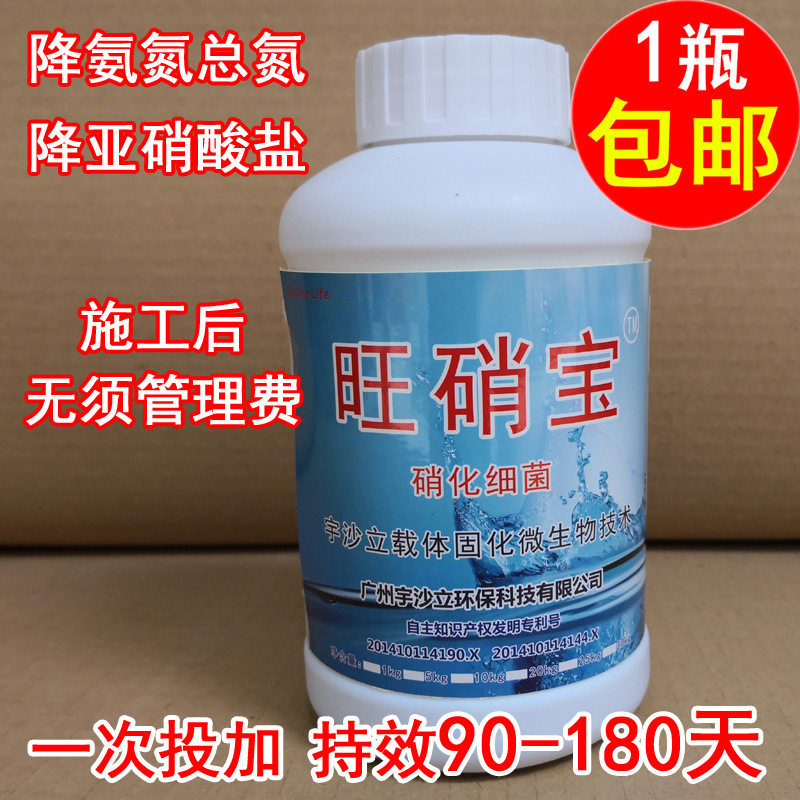 硝化菌 反硝化菌 生活污水处理 第五代 菌种 污水处理菌种1000g