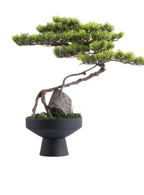 东方美学陶瓷迎客松绿植盆景茶室玄关台角落高级感摆件