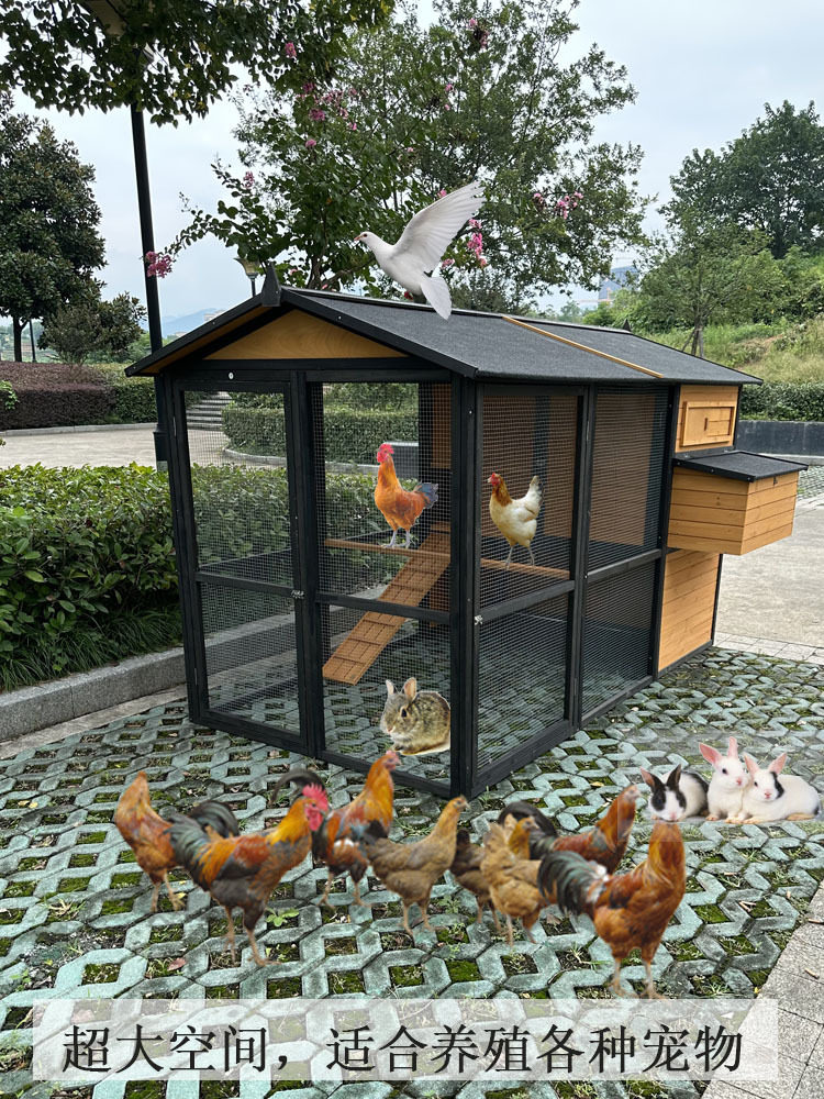 户外猫笼防雨防晒鸡笼子家用室外大号养鸡笼鸡窝鸡舍兔笼猫窝猫舍