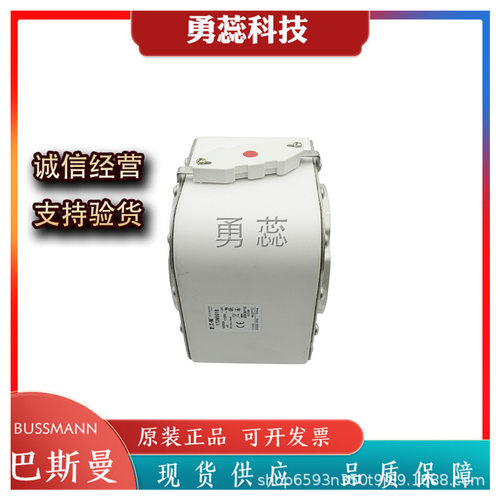 保险丝熔断器     170M7520     170M7605    170M7546