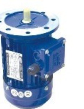 THREE-PHASE ASYNCHRONOUS MOTOR电机YE3-71M3-4 0.55KW