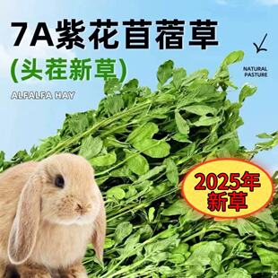 26年新草紫花苜蓿草干草兔子草豚鼠荷兰猪饲料龙猫草幼兔粮草苜宿