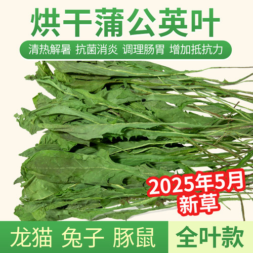 兔子蒲公英甘草祛火解暑豚鼠龙猫
