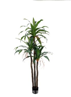 装仿真铁地树绿植酒店客厅室内20230727大型落植物饰花草盆栽巴西