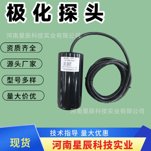 埋地型预包装双试片极化探头 PCCP管道阴极保护抗干扰参比电极