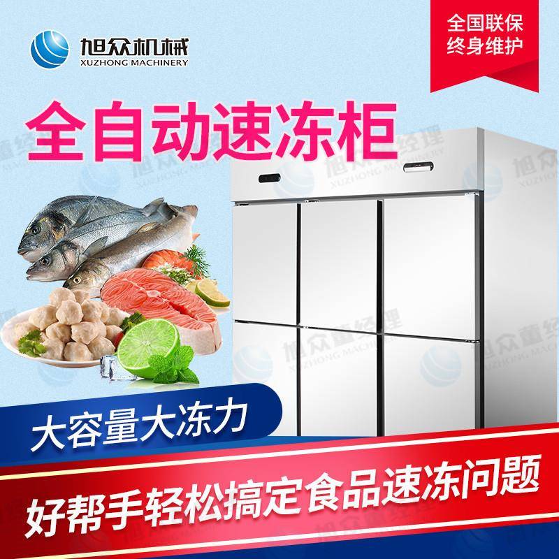 商用不锈钢六门速冻冷柜立式小型单温全冷速冻包子饺子海鲜冷藏柜
