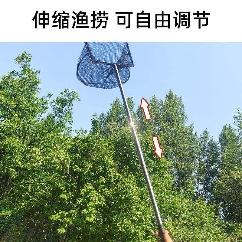 伸缩渔捞蜻蜓鱼捞彩色鱼网儿童小鱼网捞渔网手抄网户外金鱼网
