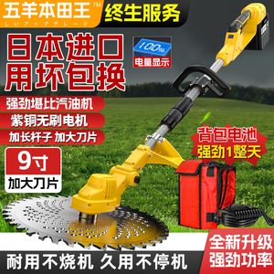 无刷电动割草机小型家用机锂电充电式打草机新型大功率除草机神器