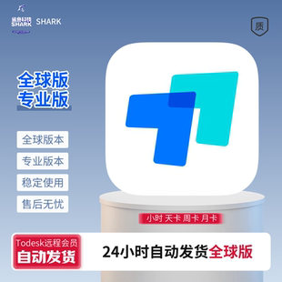 todesk会员租号 专业版全球版个人版海外国际性能版远程开机控制
