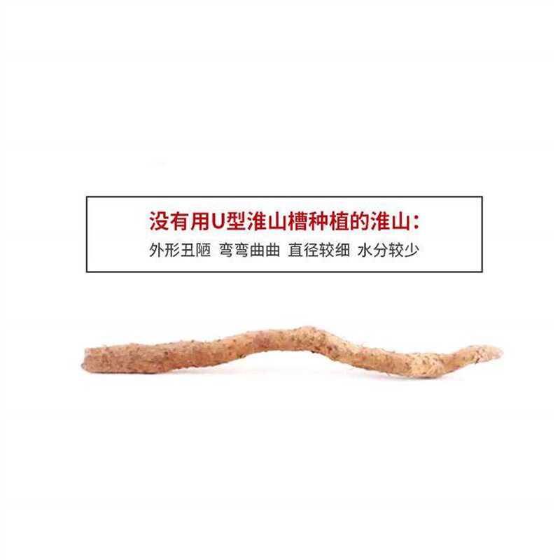 淮山槽种植浅生槽山药槽塑料定向槽U型槽淮山管槽加厚100条包邮