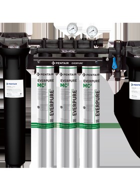 爱惠浦进口商用净水器自来水直饮过滤器奶茶店咖啡店净水机MC2