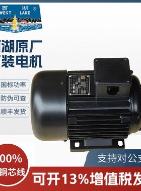 精选杭州西湖台钻原厂电机YS7114T YS7124T YS7134T YS-400T YS80
