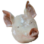 仿真生猪头模型 咬o尾巴猪头生羊头祭祀猪头可定做食品模型道具