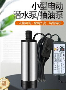 220V电源款抽酒泵抽油泵抽水泵柴油泵换水不O锈钢潜水泵家用大流