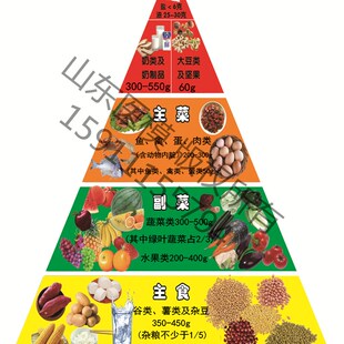 2022版膳食平衡宝塔模型  哺乳期营养食物模型  T学龄前儿童膳食