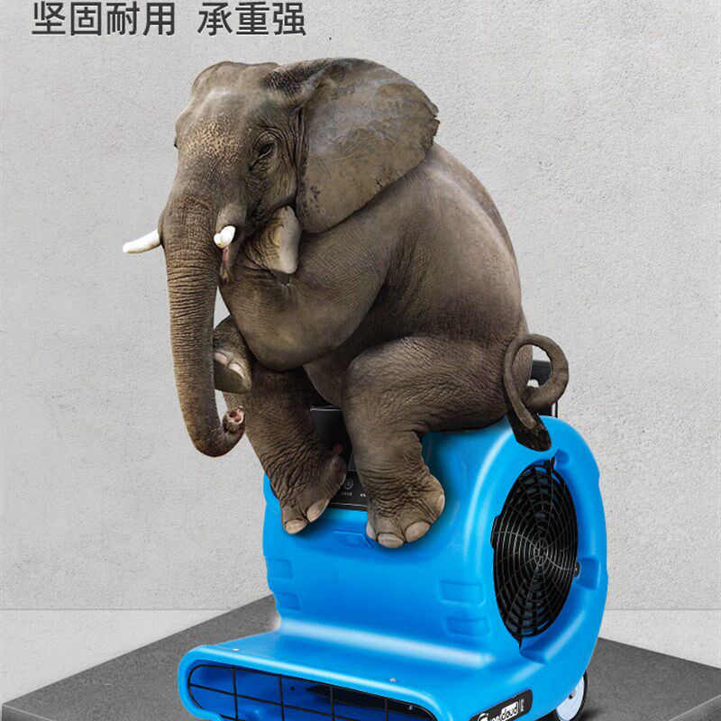 舒蔻吹地机地面吹干机风扇强力冷热干燥厕所N地板除湿商用吹鼓风