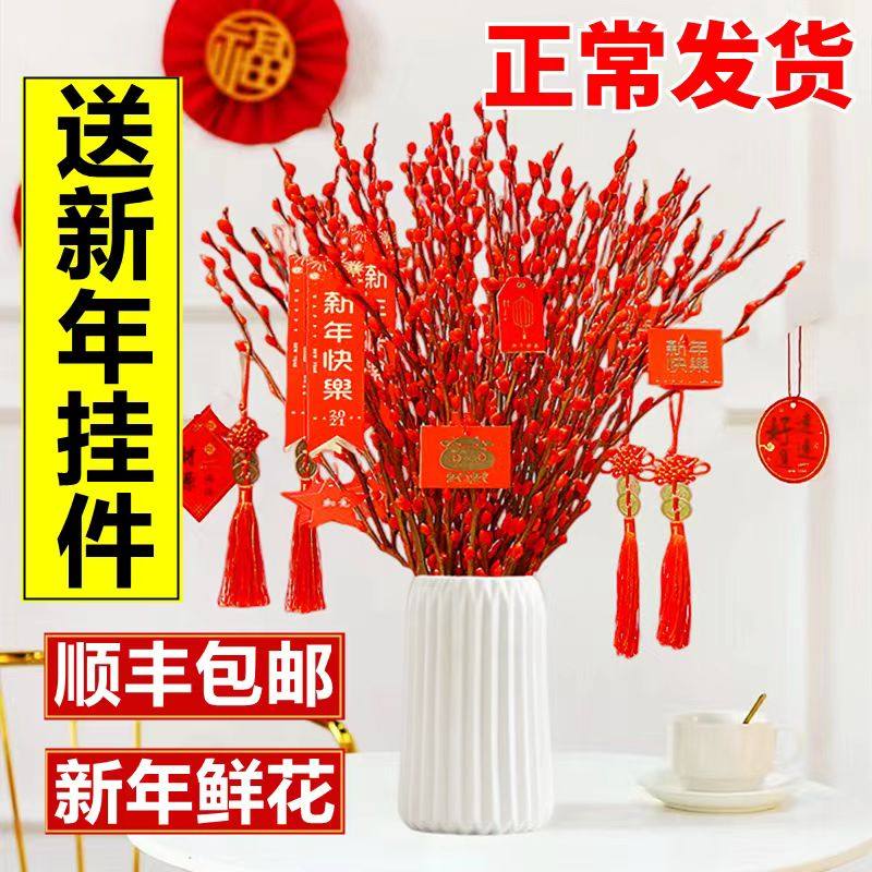 速发银柳真花鲜枝花年年宵花卉盆栽红新干花福桶室内色绿植点室内