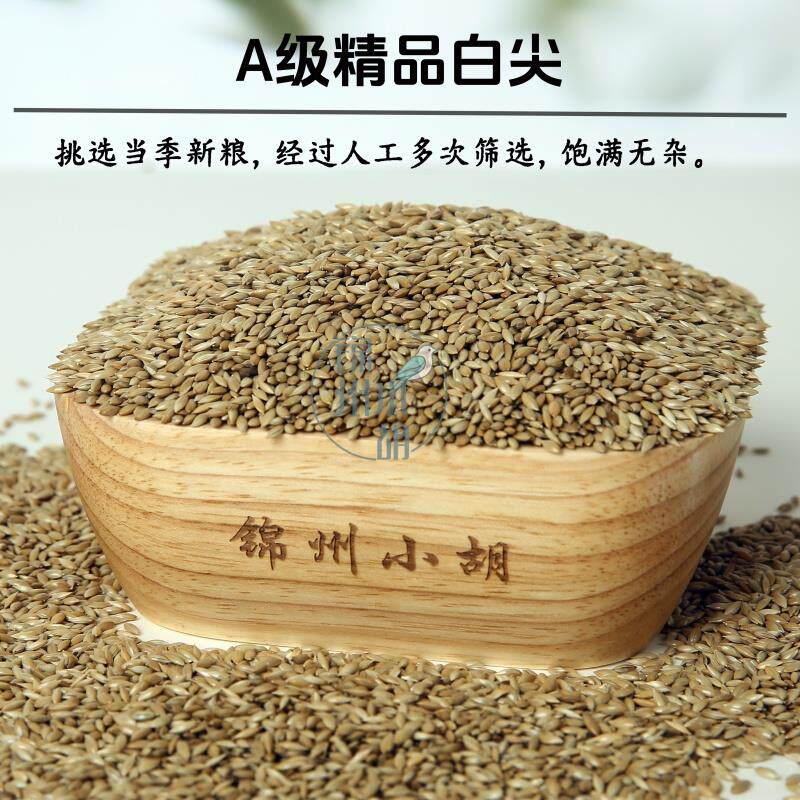 速发当年新粮白尖加纳粒子质量好玉鸟丝雀鹦鹉玄风真空包装鸟食