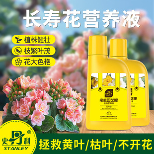 速发史丹养长寿花营花液催花促花肥盆栽肥开利肥料喷施叶面肥