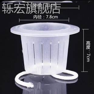 速发定植篮水培固定器透明水花定植杯水草种陪吸水养花盆培植托架