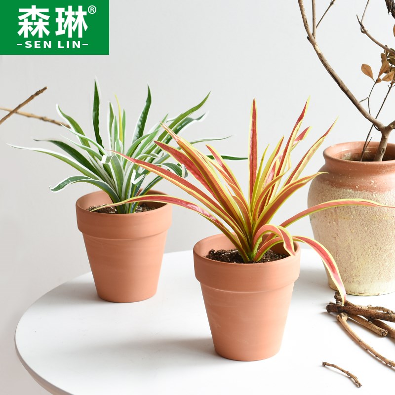 速发植物树叶小把假花绿配墙几草吊兰草壁挂配件配饰大厅茶植花艺