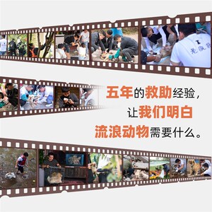 速发救携粮随身装 看到流浪猫狗请给它喂立点 独一包装方便