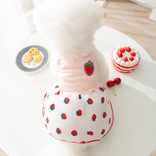 速发风甜美风网纱薄款夏子连衣裙猫咪裙季小型犬泰迪衣服