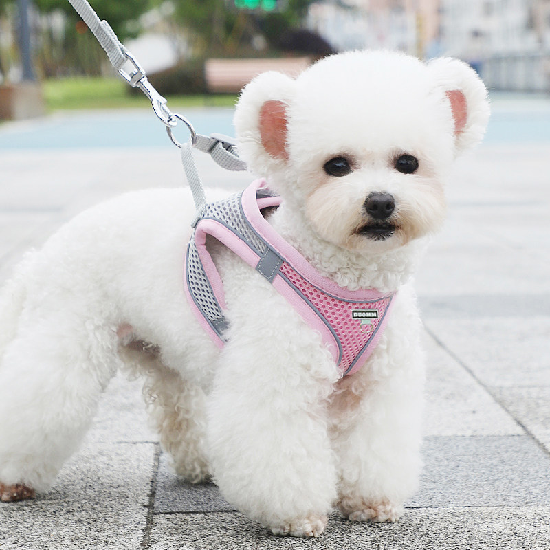 速发小型犬基柯幼犬可爱胸背带可调节透气狗绳子狗链防走丢