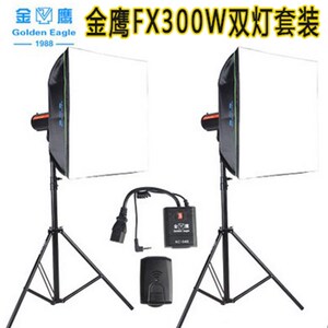速发金鹰FX00W 摄影灯影室品摄影棚闪光人服装产灯灯像拍摄 双灯