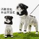 狗狗防尘裤 春夏季 薄款 可牵引外出连脚四脚罩衣防水防脏狗狗衣服