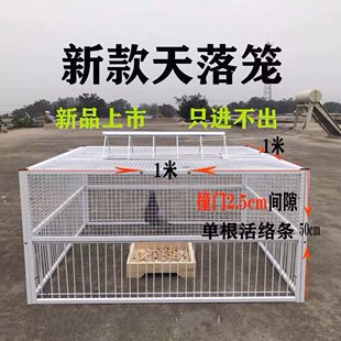 特大号鸽子笼跳进口笼子家用只进不出养专用活络门撞门捉神器自动