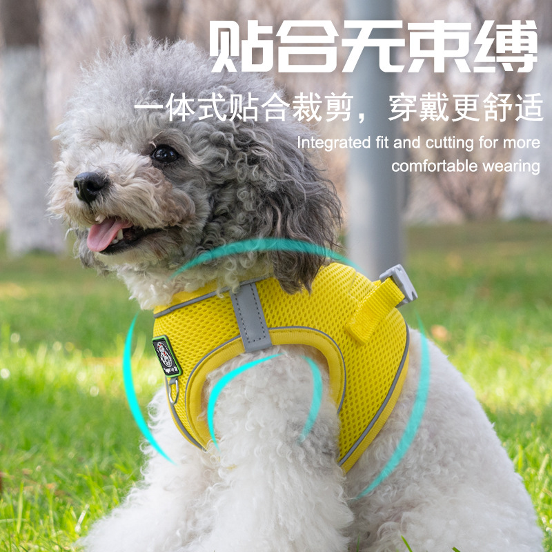 小体犬P背心式胸背带狗牵引绳