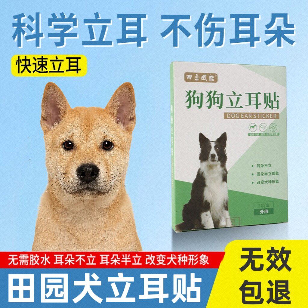 田园犬立耳贴柯基边牧西高地立耳胶带竖耳辅助耳朵固定器立耳神器
