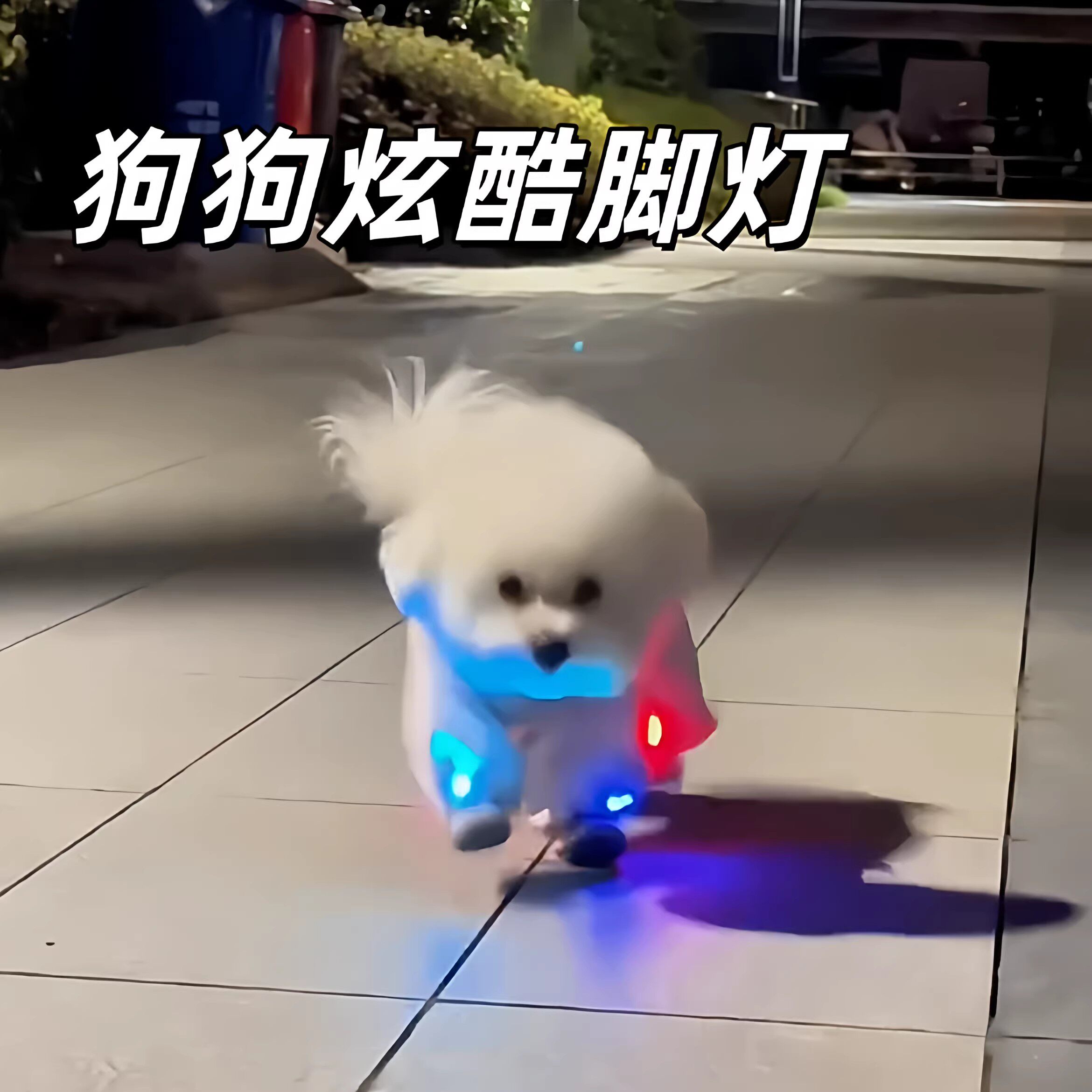 狗狗夜行发光鞋炫酷可爱LED发光防丢脚灯宠物cosplay趣味拍照道具